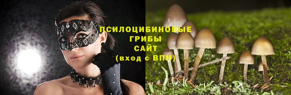 ALPHA PVP Алексеевка