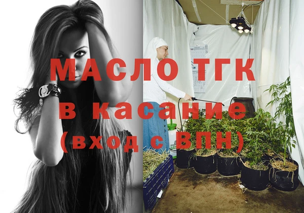 индика Абаза