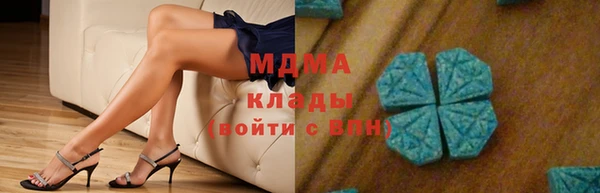 индика Абаза