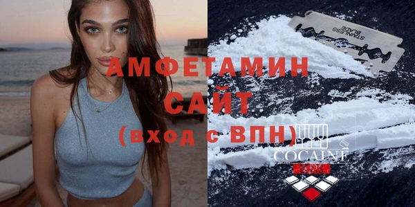 индика Абаза