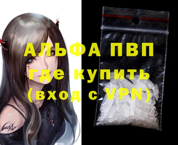 индика Абаза