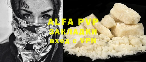 индика Абаза