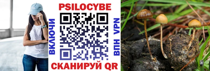 Галлюциногенные грибы Cubensis  это клад  Гагарин 